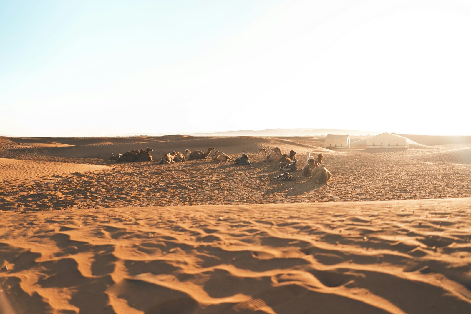 Zagora